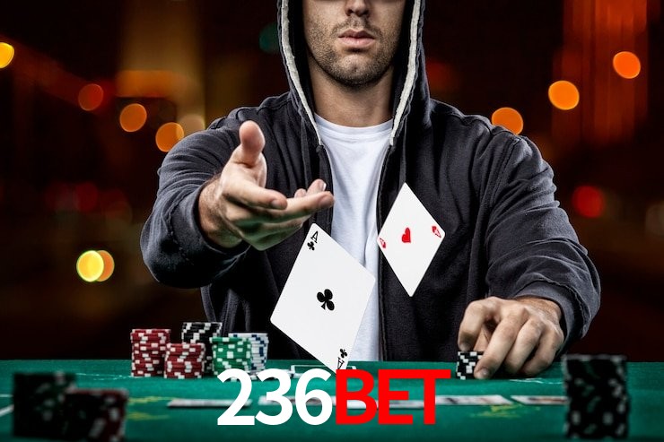 236bet.com