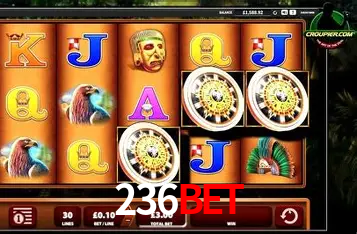 Apostas Esportivas na 236bet: Um Guia Completo