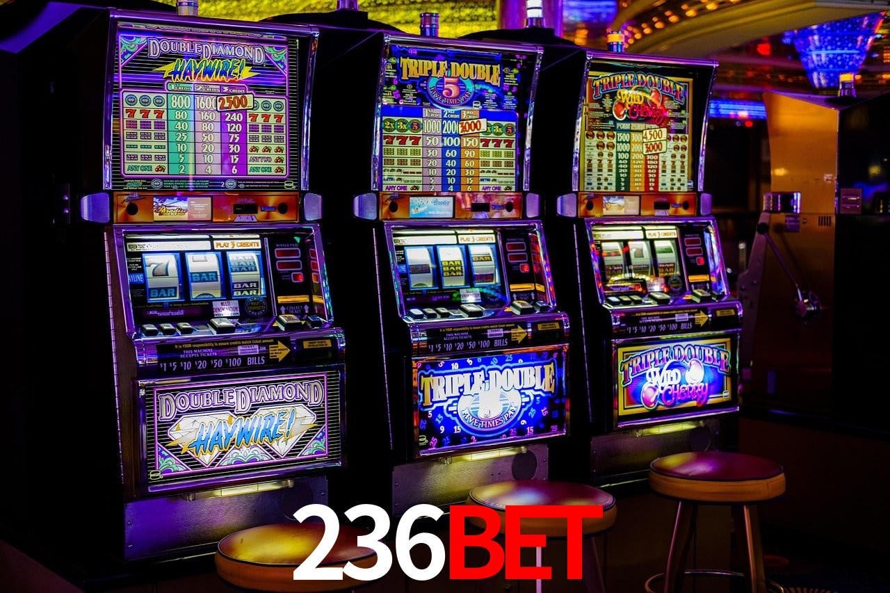 Estatísticas Esportivas 236bet